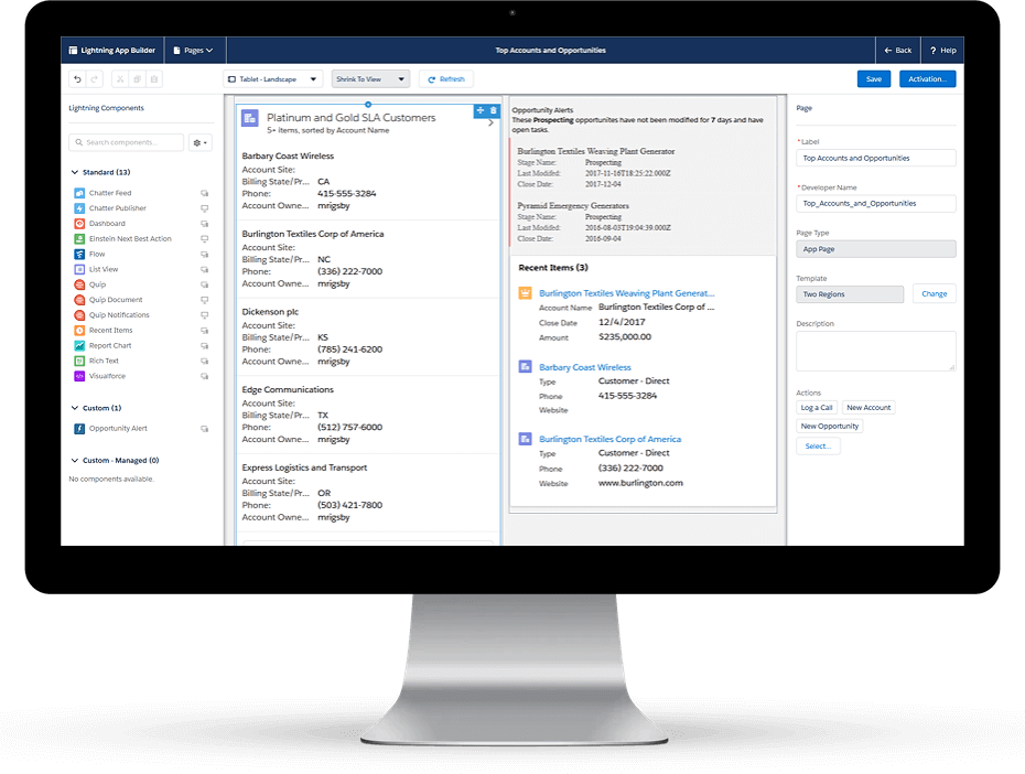 Reporting with salesforce customization